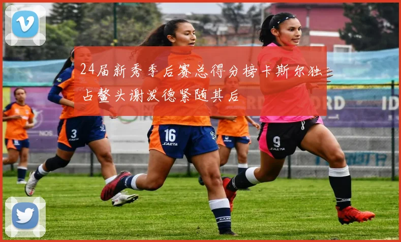 24届新秀季后赛总得分榜卡斯尔独占鳌头谢泼德紧随其后