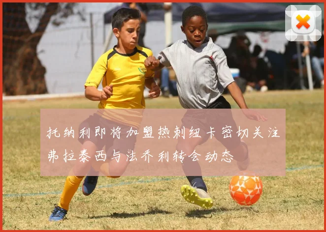 托纳利即将加盟热刺纽卡密切关注弗拉泰西与法乔利转会动态